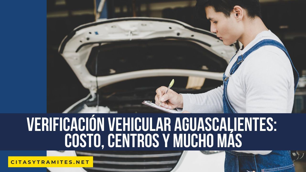 verificaci贸n vehicular Aguascalientes